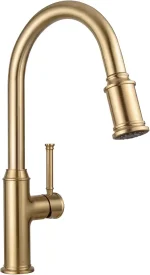 Lava Odoro Champagne Gold Kitchen Faucet with Pull Down Sprayer
